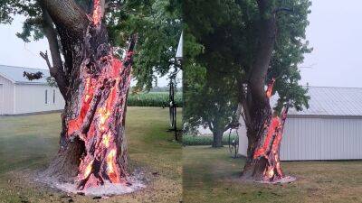 Dramatic photos show tree burning from inside after lightning strike in Ohio - fox29.com - state Ohio