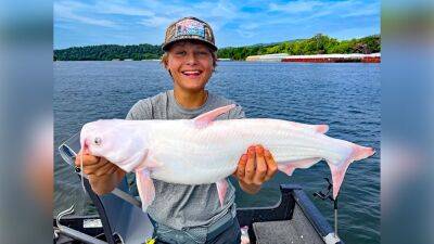 ‘Once-in-a-lifetime’ catch: Tennessee teen reels in rare white catfish - fox29.com - Usa - state Tennessee