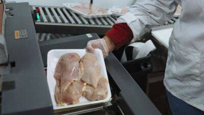 USDA proposes new rules on salmonella for food processors — or risk shutdowns - fox29.com - state New Jersey