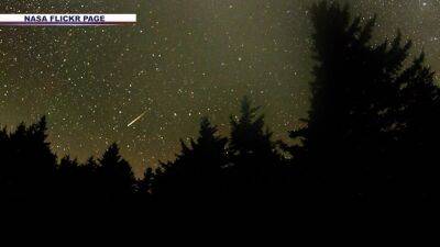 Annual August meteor shower continues to peak overnight - fox29.com