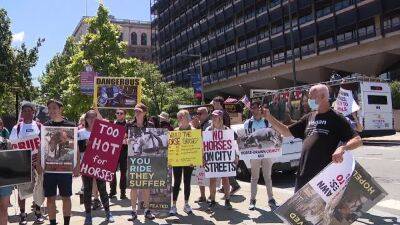 Animal rights activists call for ban on horse-drawn carriages in Philadelphia - fox29.com - city New York - Philadelphia - city Old