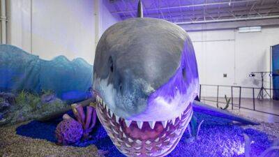 Giant sharks once roamed the earth with a mega-appetite, research shows - fox29.com - New York - state California
