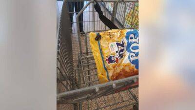 Virginia woman discovers snake inside bag of popcorn at grocery store - fox29.com - state Pennsylvania - state North Carolina - state Virginia