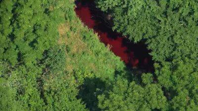 Portion of Pennsauken Creek runs red after food dye discharged from nearby plant, officials say - fox29.com - state New Jersey - county Hill - Jersey - county Cherry