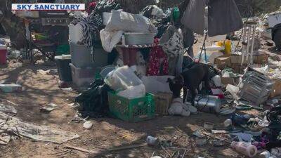 Nearly 150 dogs surrendered from Arizona homeless camp: 'They did the best with what they had' - fox29.com - state Arizona - county Creek - city Sanctuary - county Maricopa