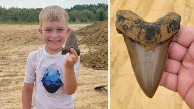 Boy, 8 years old, discovers giant shark tooth in South Carolina: 'Find of a lifetime' - fox29.com - state South Carolina
