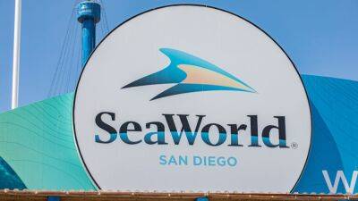SeaWorld San Diego's 20-year-old killer whale Nakai dies after infection - fox29.com - state California - county San Diego