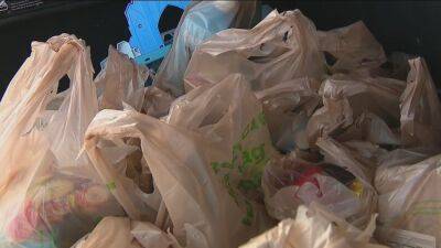 Wegmans in Pa. to eliminate single-use plastic bags in late September - fox29.com - state Pennsylvania