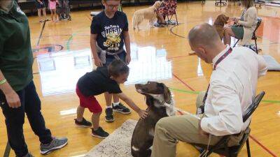 Local school districts turn to therapy dogs to benefit students' mental health - fox29.com - city Levittown