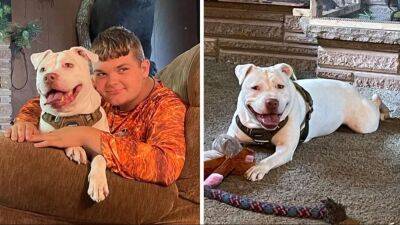 Deaf dog is adopted by Michigan teen with hearing loss — now they're 'inseparable' - fox29.com - state Michigan - county Midland