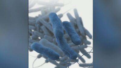 Recent Mercer County uptick in Legionnaire's Disease cases to be investigated by health officials - fox29.com - state New Jersey - county Hamilton - county Mercer