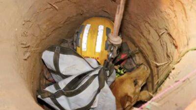 VIDEO: 13-year-old blind dog who fell into 15-foot hole rescued in Pasadena - fox29.com - city Pasadena - city Glendale