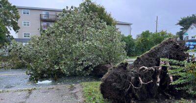 Nova Scotia - Anthony Farnell - Fiona makes landfall in Nova Scotia, leaving path of destruction - globalnews.ca - municipality Regional