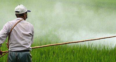 Audit report on nano-nitrogen fertilizer: Agriculture Minstry to take further action - newsfirst.lk - India - Sri Lanka