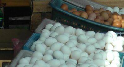 CAA imposes control price for eggs - newsfirst.lk