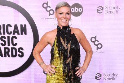 Pink Calls Herself ‘Bionic Woman’ After Recovering From Two Surgeries And Gaining Weight During COVID-19 - etcanada.com