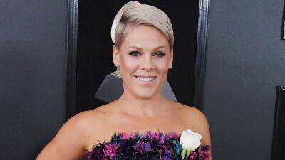 Pink Reveals She Underwent Major Hip Surgery, Double Disk Replacement Over Pandemic - etonline.com