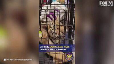 Arizona man indicted, accused of trying to sell tiger cub on social media - fox29.com - Usa - state Arizona