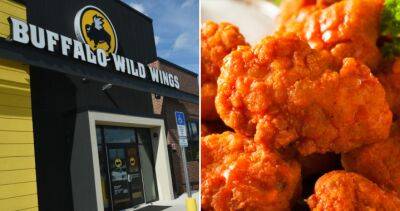 Man sues Buffalo Wild Wings after realizing ‘boneless wings’ aren’t actually wings - globalnews.ca - state Illinois - Washington - city Chicago