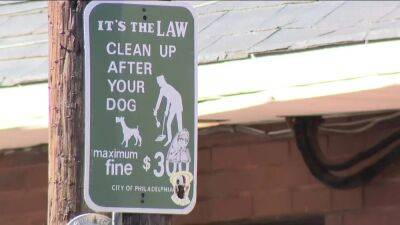 Residents frustrated by dog owners not cleaning up after their furry friends - fox29.com