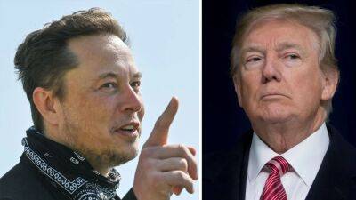 Donald Trump - Michael Cohen - Elon Musk - Saul Loeb - Twitter's Elon Musk predicts Trump will win re-election in 'landslide victory' if arrested - fox29.com - Germany - city Berlin - state Maryland
