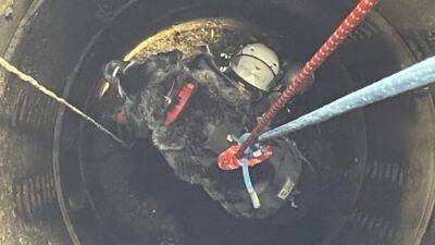 First responders rescue dog that fell 23 feet down storm drain - fox29.com - state Oregon - city Portland, state Oregon