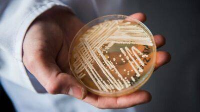 Deadly fungal infection C. auris spreading at 'alarming rate,' CDC says - fox29.com - Usa - Germany