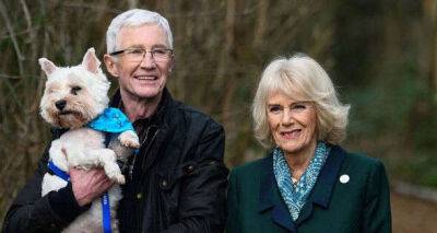 Piers Morgan - Paul O'Grady's tearful words prior to his death as the comic addressed health struggles - msn.com