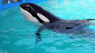 It’s official: Agreement in place to bring Tokitae home from Miami Seaquarium to Puget Sound - fox29.com - county Miami - county Miami-Dade - city Miami