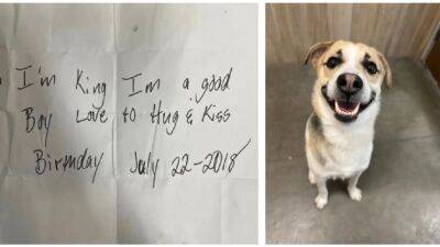 Dog named King abandoned at Burger King with note reading 'I'm a good boy' - fox29.com - state Illinois - city Chicago - county King