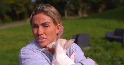 Katie Price - Katie Price admits she 'hates leaving the house' as she opens up on mental health struggles - msn.com