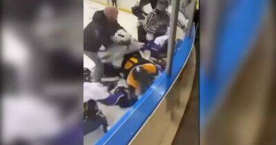 Hockey Canada - Edmonton hockey handshake brawl a ‘travesty to the game’: Officials - globalnews.ca - Canada - county Centre