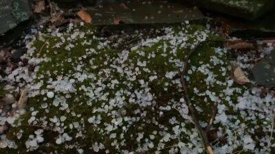 Delaware Valley severe storms dump heavy rain, hail and produce damaging winds - fox29.com - state Delaware - county Chester - Jersey - county King - state Friday