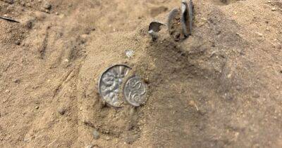 Trove of 1,000-year-old Viking coins unearthed by young girl in Denmark - globalnews.ca - Germany - Ireland - France - Denmark - Scotland