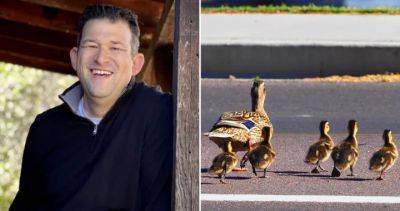 Man struck, killed as he stopped to help ducks cross busy California street - globalnews.ca - state California - Washington