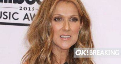 Celine Dion - Celine Dion cancels entire tour amid health battle but says she’s ‘not giving up' - ok.co.uk
