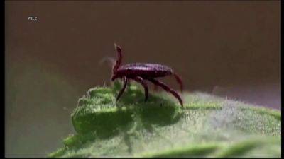 Which Delaware Valley state is a hot bed for ticks? - fox29.com - state Pennsylvania - state Delaware - county Valley