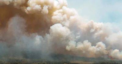 Nova Scotia - Bill Blair - Canadian military to help fight Nova Scotia wildfires amid ‘unprecedented’ season - globalnews.ca - Usa - Canada - city Ottawa - South Africa