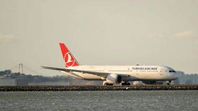 Fox Business - 11-year-old girl on Turkish Airlines flight dies after falling ill, company says - fox29.com - Usa - city New York - state California - city Istanbul - city San Francisco, state California - state Indiana - Turkey - Hungary - city Budapest - San Francisco, Usa