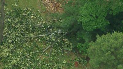 NWS confirm tornadoes in Burlington County, N.J., Chester County, Pa. - fox29.com - county Lake - state Pennsylvania - state New Jersey - county Burlington - state Delaware - county Chester