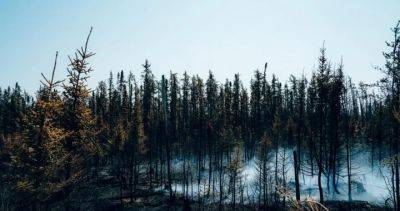 Quebec wildfires: more evacuations ordered in northwestern region - globalnews.ca - county Ontario