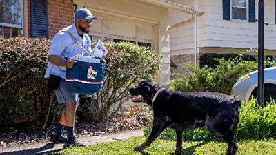Here are the US cities, states where mail carriers are bit by dogs the most - fox29.com - New York - Usa - state California - Washington - state Pennsylvania - state Ohio - state Texas - Los Angeles, state California - county Cleveland - county San Diego - Houston, state Texas - county Dallas