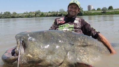 9-foot-long monster catfish caught in Italy - fox29.com - Italy